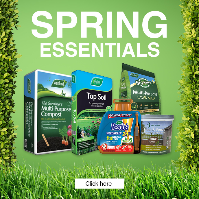 Spring Essentials May 2024